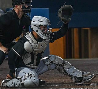 <span class="mw-page-title-main">Carlos Pérez (catcher, born 1996)</span> Venezuelan baseball player