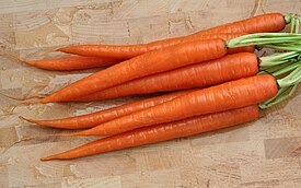 Carota