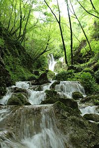 Cascate di Rioscuro