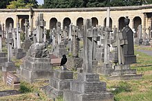 Central roundel, Brompton Cemetery Central roundel, Brompton Cemetery.JPG