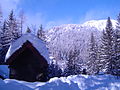 Chamonix-Mont-Blanc -- De Montroc au Planet