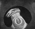 Charles II. Anamorphosis.jpg