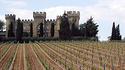 Chateauwijngaard. Veel mensen kennen de klassieke associatie van een wijngaard met een kasteel. Voorbeeld: Châteauneuf-du-Pape, Frankrijk.