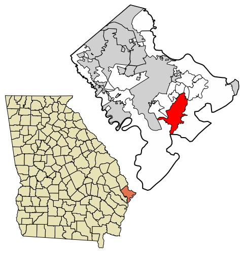 File:Chatham County Georgia Incorporated and Unincorporated areas Skidaway Island Highlighted 1371184.svg