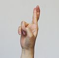 10 – Alternative mit gekreuztem Zeige- und Mittelfinger
