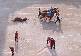 Mulilleros arrossegant el toro fora de la plaça mentre que els areneros netegen la sorra de la plaça