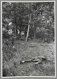 Picture of alleged "Confederate dead on Matthews Hill, Bull Run" Brady Handy Collection Confederate dead on Matthews Hill, Bull Run (i.e. Antietam) LCCN2012647848.jpg