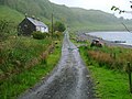 Cottages and Track, The Little Horse Shoe - geograph.org.uk - 195656.jpg