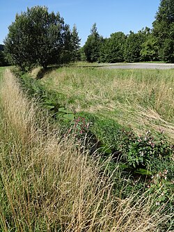 دورفل (9) Schlettenbach.jpg