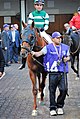 DSC 3431Accelerate.jpg