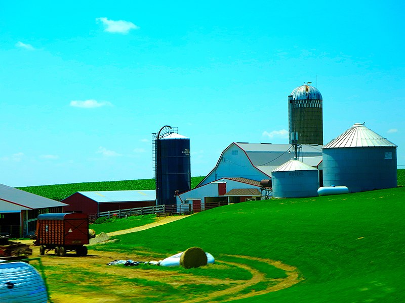 File:Dairy Farm near Monfort - panoramio.jpg