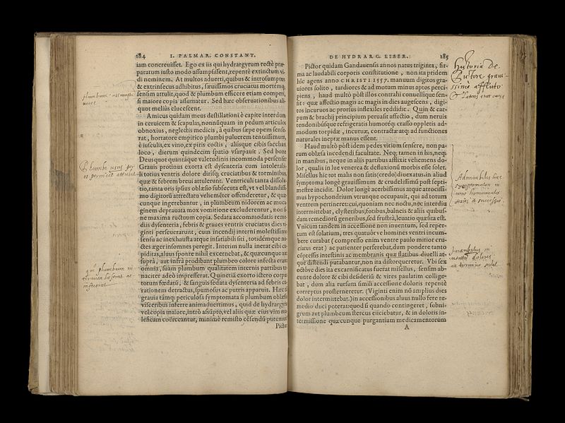 File:De morbis contagiosis libri septem Wellcome L0068706.jpg