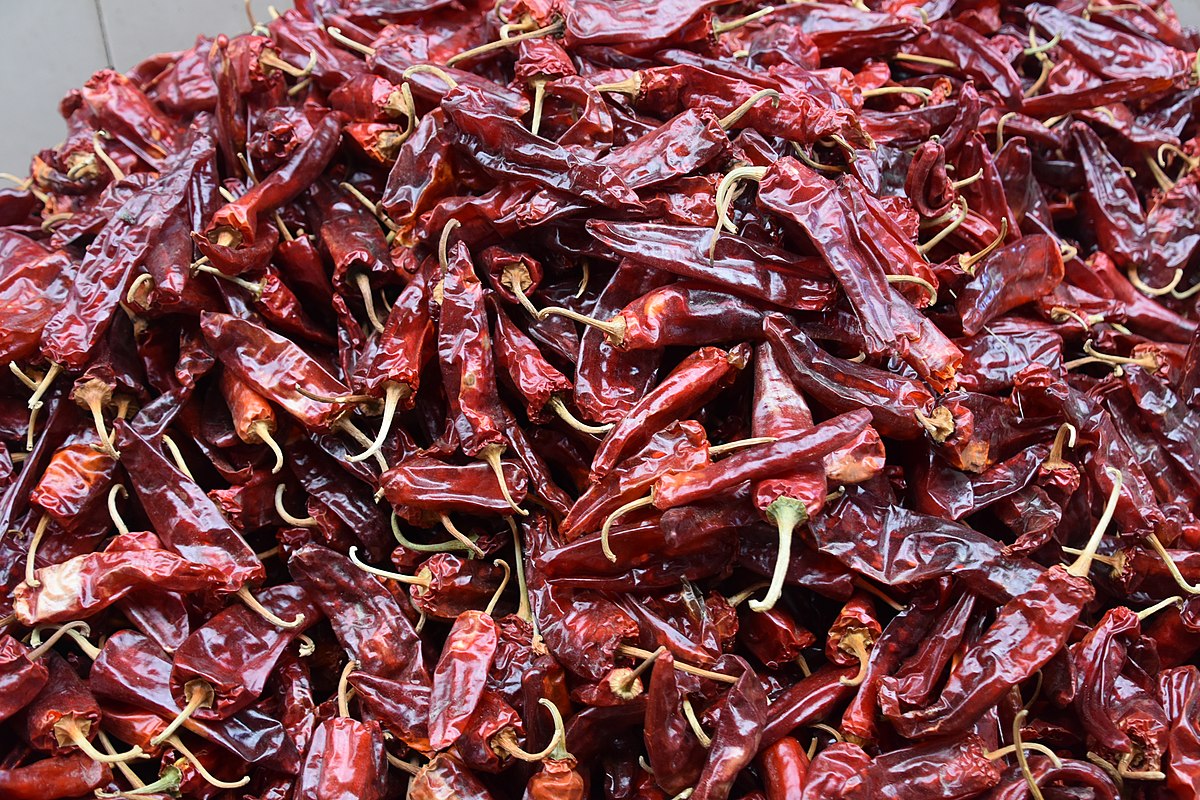 The Art of Preserving Heat: How to Dry Chillies Perfectly — Meadowlark  Journal