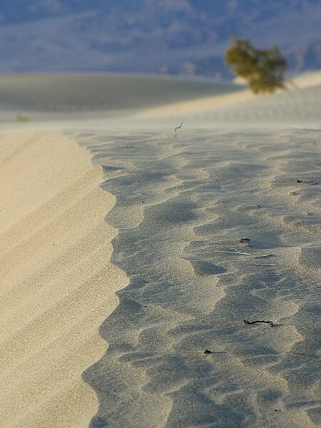 File:Dunes-PDPhoto.org.jpg