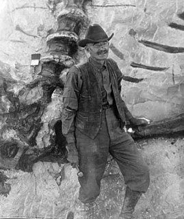 Earl Douglass American paleontologist