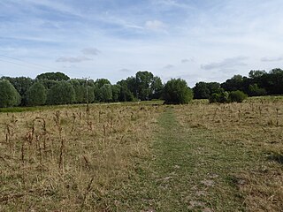 <span class="mw-page-title-main">Eaton Common</span> Nature reserve in Norwich, United Kingdom