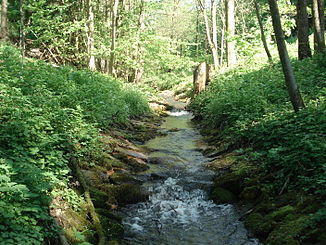 The Eichenberger Bach between Eichenberg and Sailauf