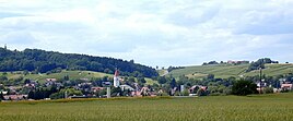 Vista de Erzingen e do vinhedo Kapellenberg