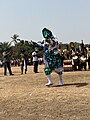 File:Festival des Arts de l'ethnie baga 09.jpg