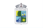 Thumbnail for Flag of Pichilemu