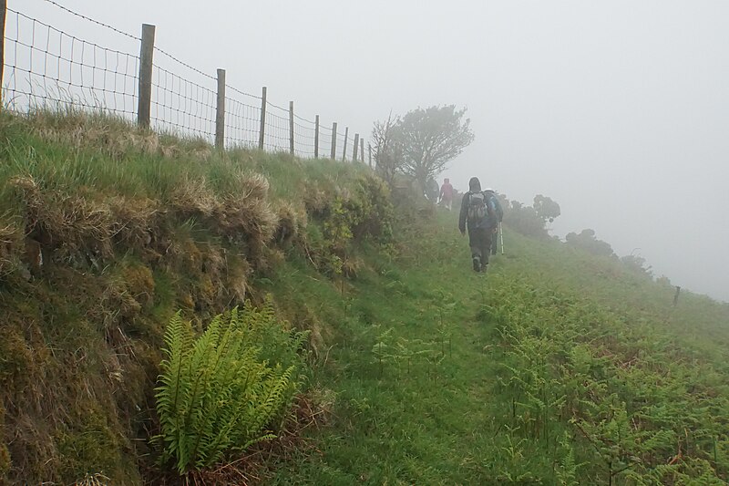 File:Footpath above Coscombe - geograph.org.uk - 5861224.jpg