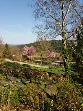 Neuer Friedhof