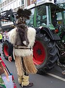 Fur costumes in Rosenmontag Parade, Düsseldorf 2017 (06).jpg