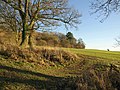 Gap in field boundary, Fonthill estate - geograph.org.uk - 2235014.jpg