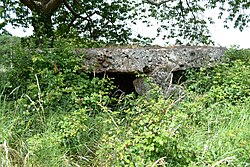 Illustrasjonsbilde av artikkelen Stone dekket med Avort