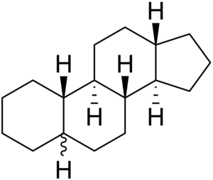 Koleszterin