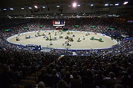 Concours hippique de Göteborg 2014 2.jpg