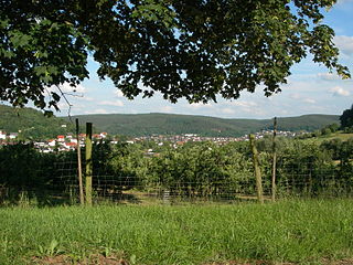 <span class="mw-page-title-main">Höchst im Odenwald</span> Municipality in Hesse, Germany