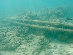 HAW-1 Submarine Telephone Cable in Hanauma Bay June 2021.jpg