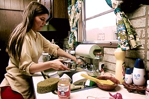 HOUSEWIFE IN THE KITCHEN OF HER MOBILE HOME IN ONE OF THE TRAILER PARKS. THE TWO PARKS WERE CREATED IN RESPONSE TO... - NARA - 558298.jpg