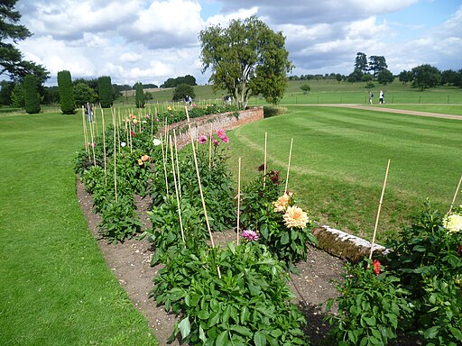 Ha-ha at Melford Hall - geograph.org.uk - 4135092