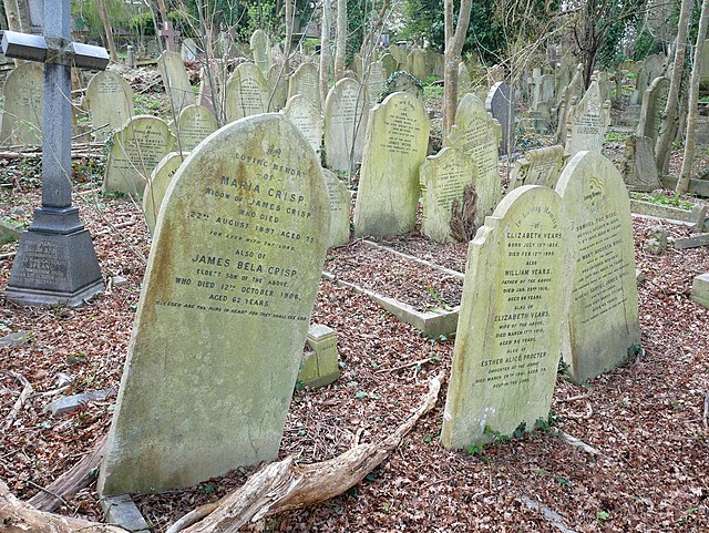 A selection of headstones in the northern part of the cemetery