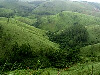 Vagamon Hills with shola vegetation Hills Vagamon.jpg