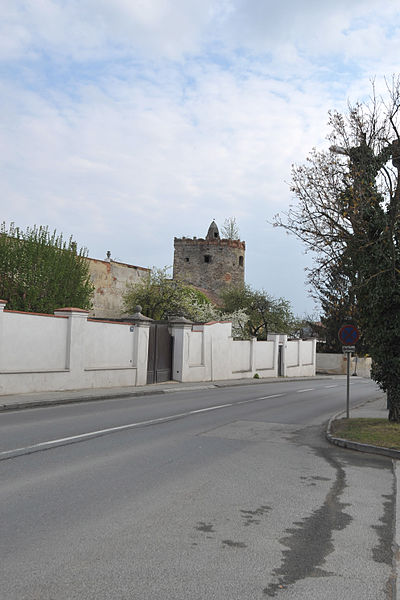 File:Horn Stadtmauer 5761.jpg