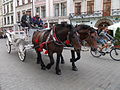 Horse carriages in Krakow Old Town Square.JPG