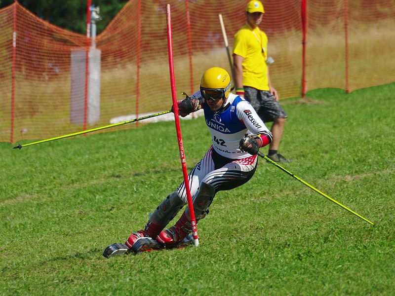 File:Hossein Kalhor (1984) Grass Skiing World Championships 2009 Slalom.jpg