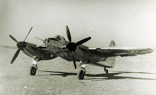<span class="mw-page-title-main">I.Ae. 30 Ñancú</span> Type of aircraft