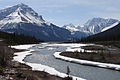 Tangle Ridge (left), Mt. Kitchener (right) and Sunwapta River as seen from the Icefields Parkway