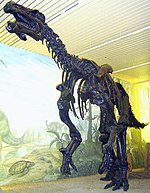 Iguanodon Skelett 2.jpg