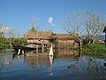 * Nomination Bamboo houses on Inle Lake, Shan State, Myanmar. --Argenberg 15:14, 26 January 2022 (UTC) * Promotion  Support Good quality. --Steindy 16:58, 26 January 2022 (UTC)