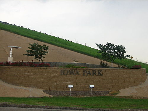 Iowa Park chiropractor