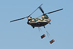 Thumbnail for Iruma Helicopter Airlift Squadron (JASDF)