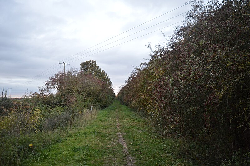 File:Isleham Nature Reserve 1.jpg