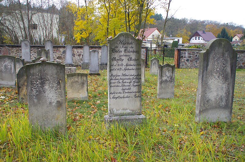 File:Jüdischer Friedhof Wriezen Moser.jpg