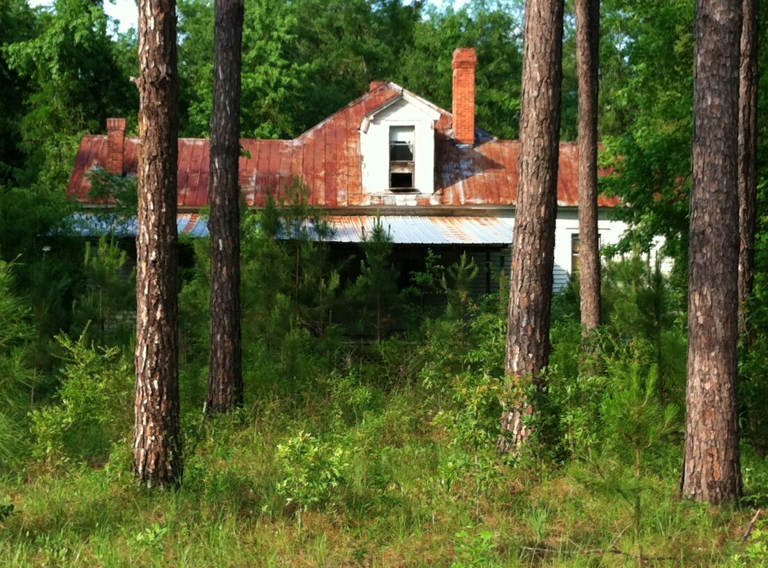 Juniper, Georgia