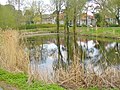 Karolinenhof - Dorfteich (Village Pond) - geo.hlipp.de - 35732.jpg